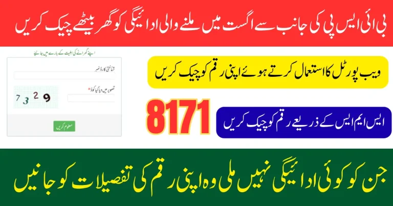 8171-Web-Portal-2025-Check-Recent-Release-Payment-Using-CNIC-Know-Full-Details-Step-By-Step