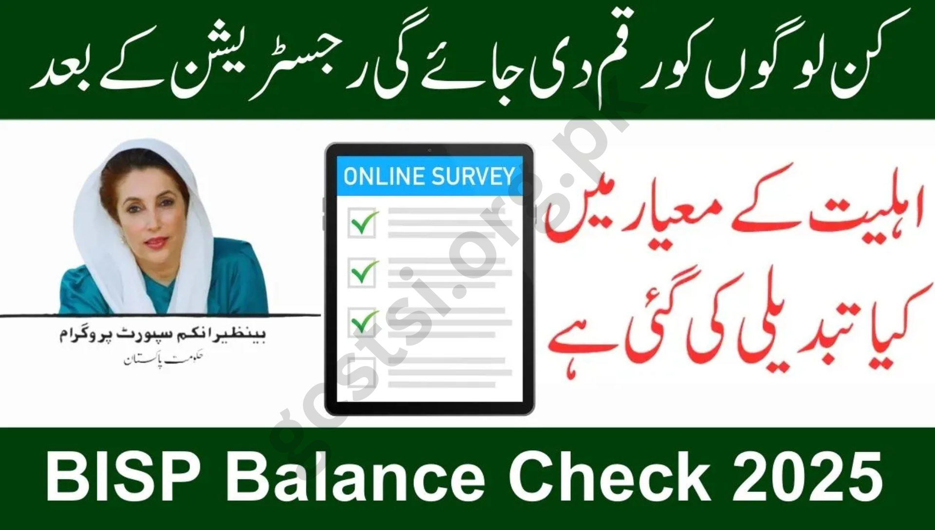 BISP Balance Status