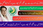Benazir Income Support Program