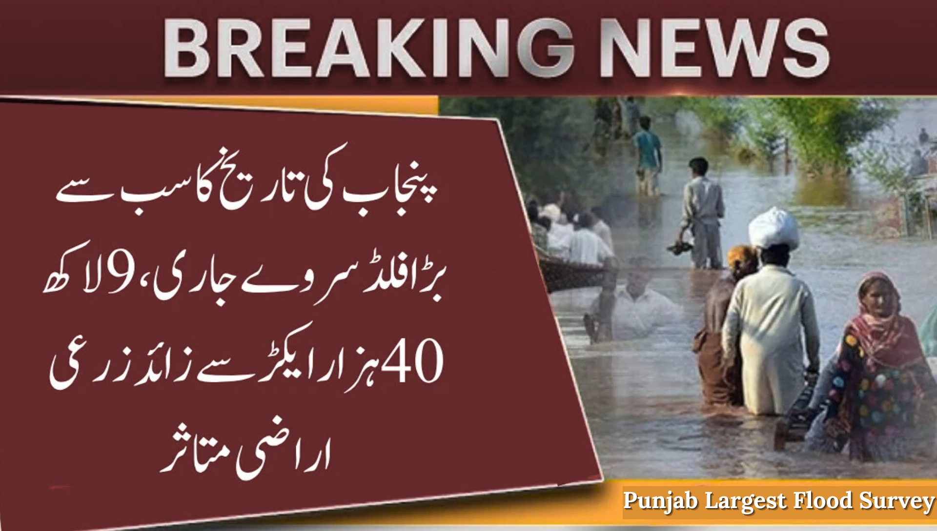 Punjab Largest Flood Survey