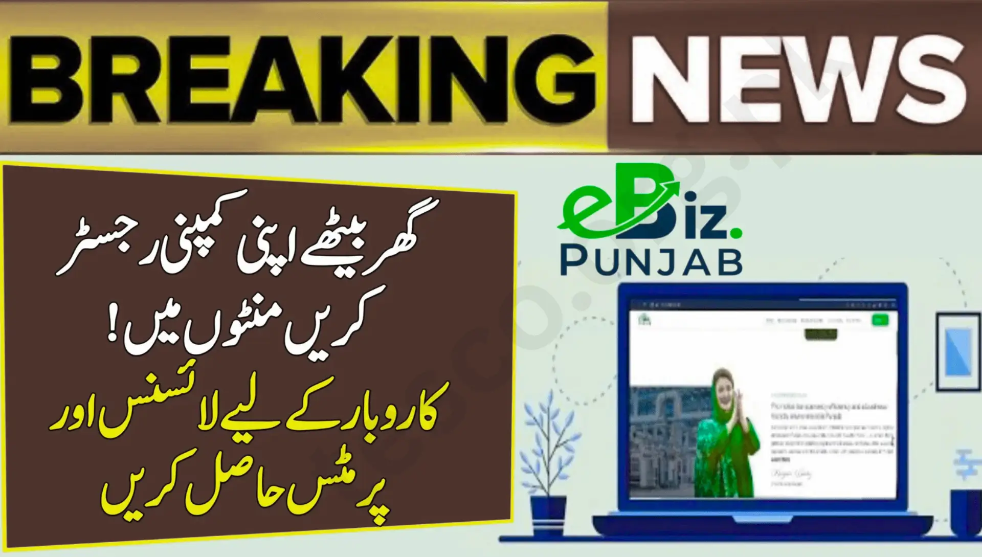 eBiz Punjab Online Business Registration