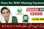 Fixes for BISP Missing Payment