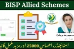 BISP Allied Schemes