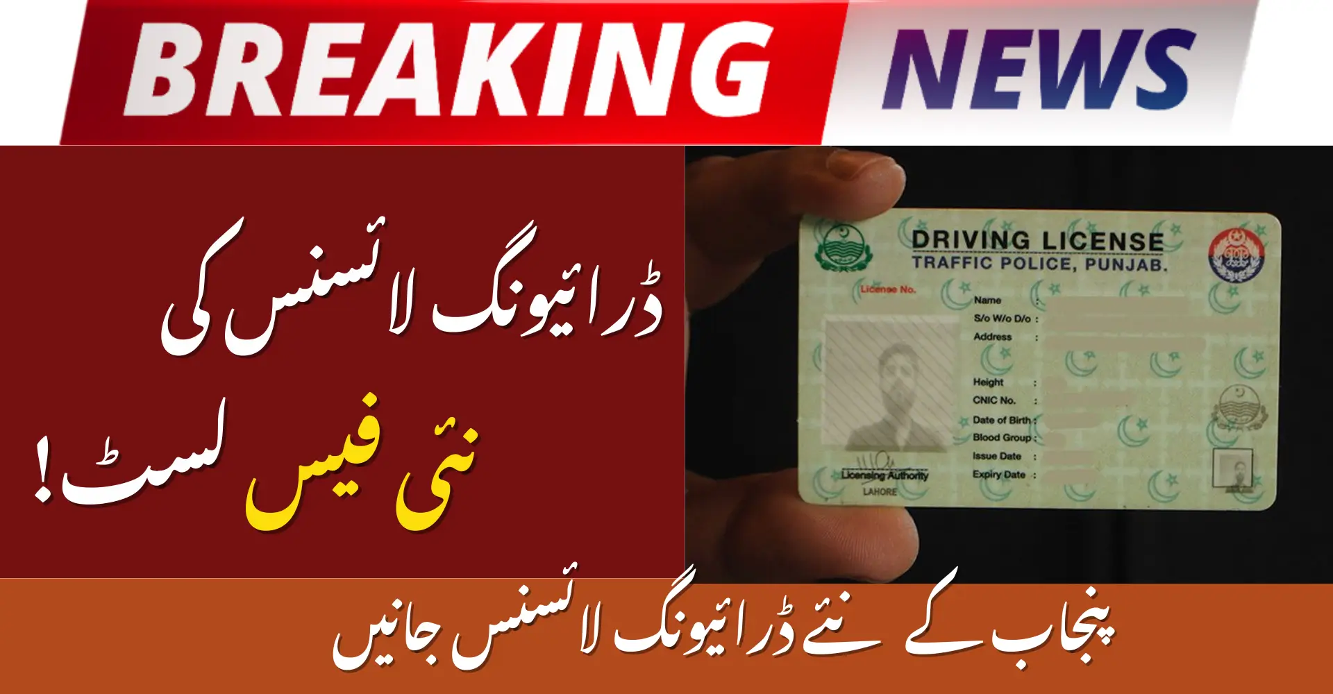 Driving License Fees