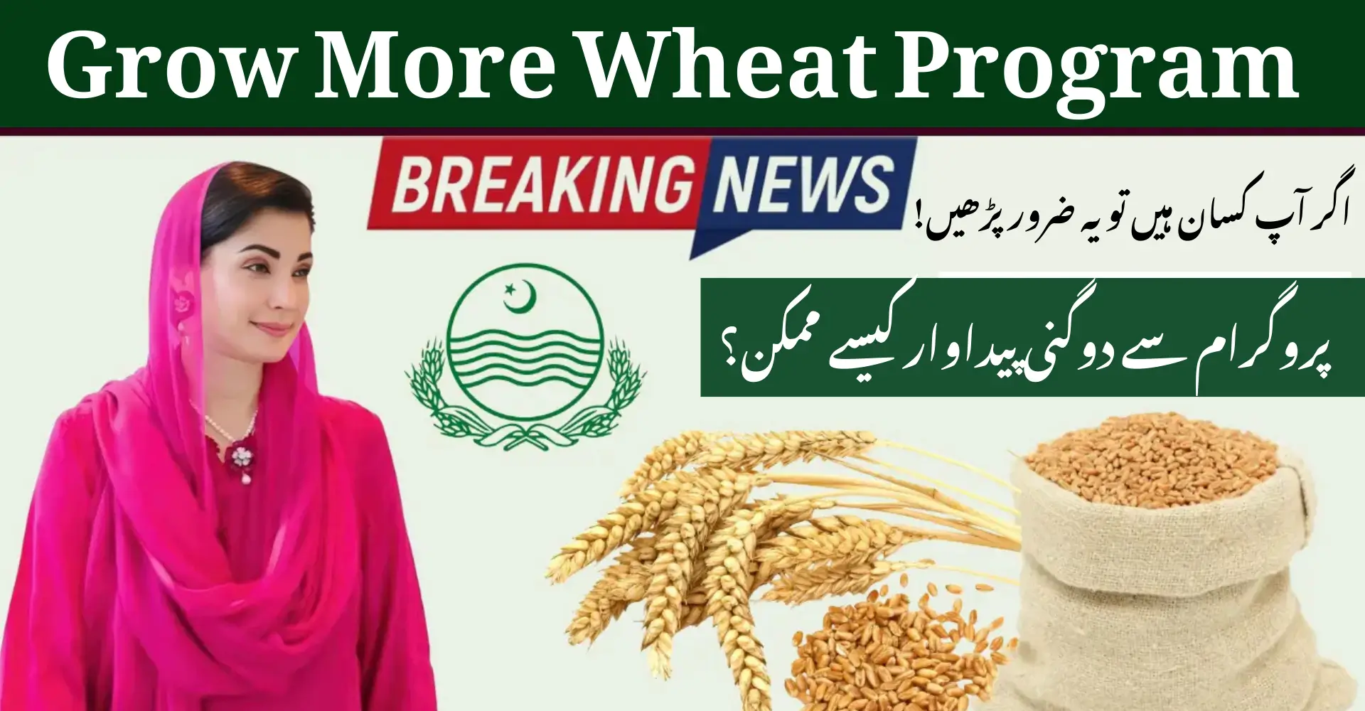 Grow More Wheat Program